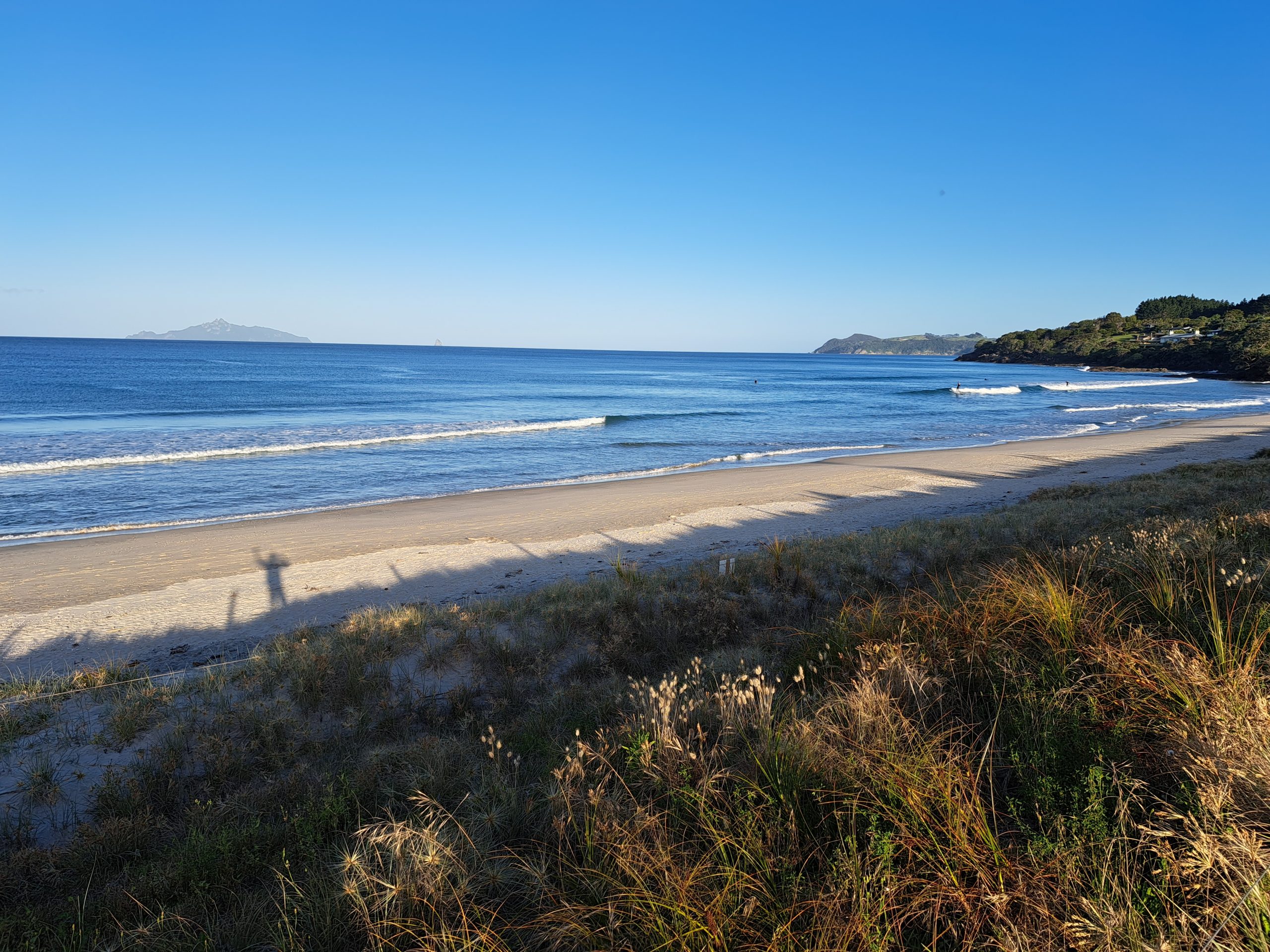 Read more about the article 04.12.22 Waipu Cove