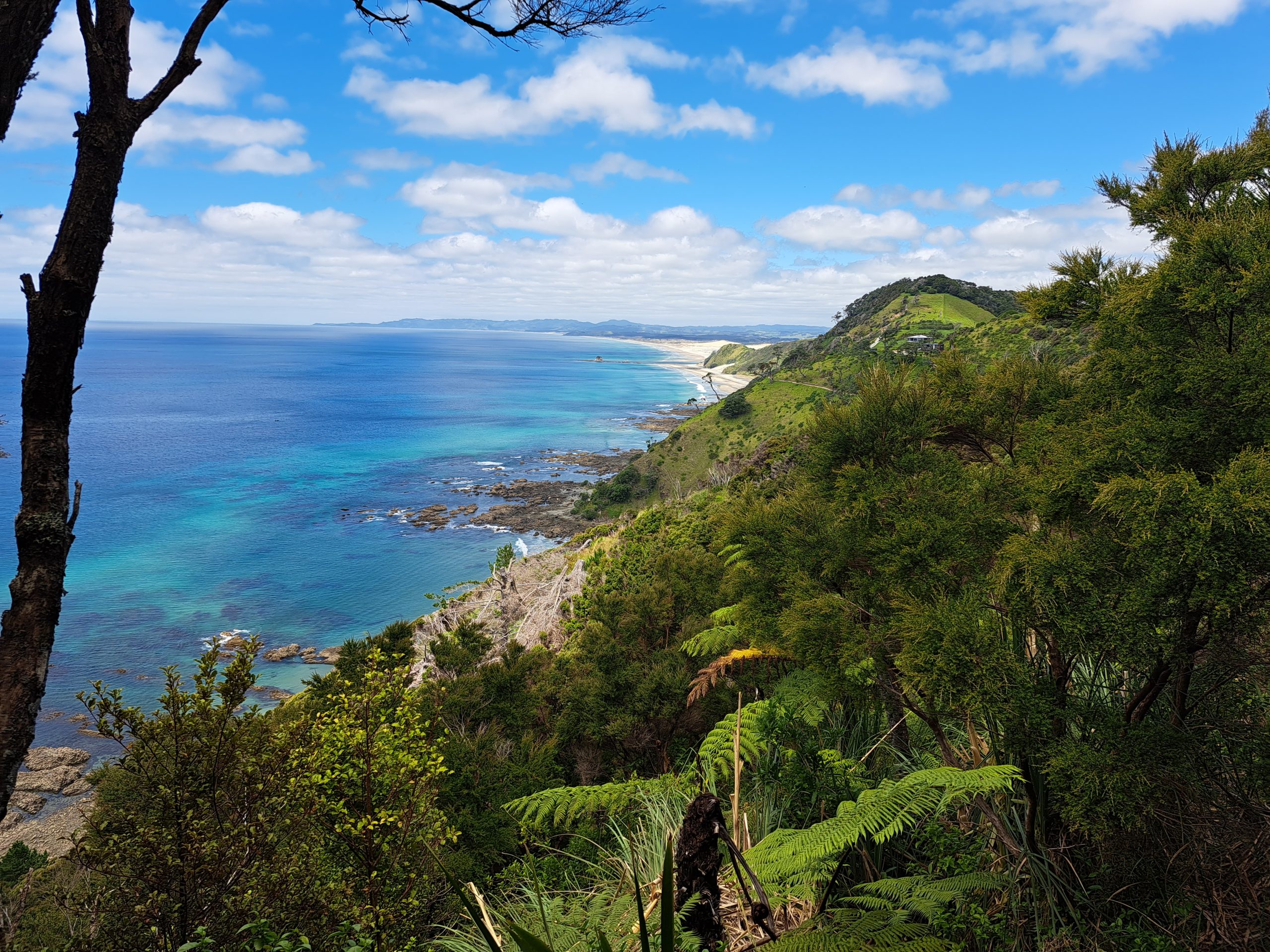 Read more about the article 05.12.22 Mangawhai