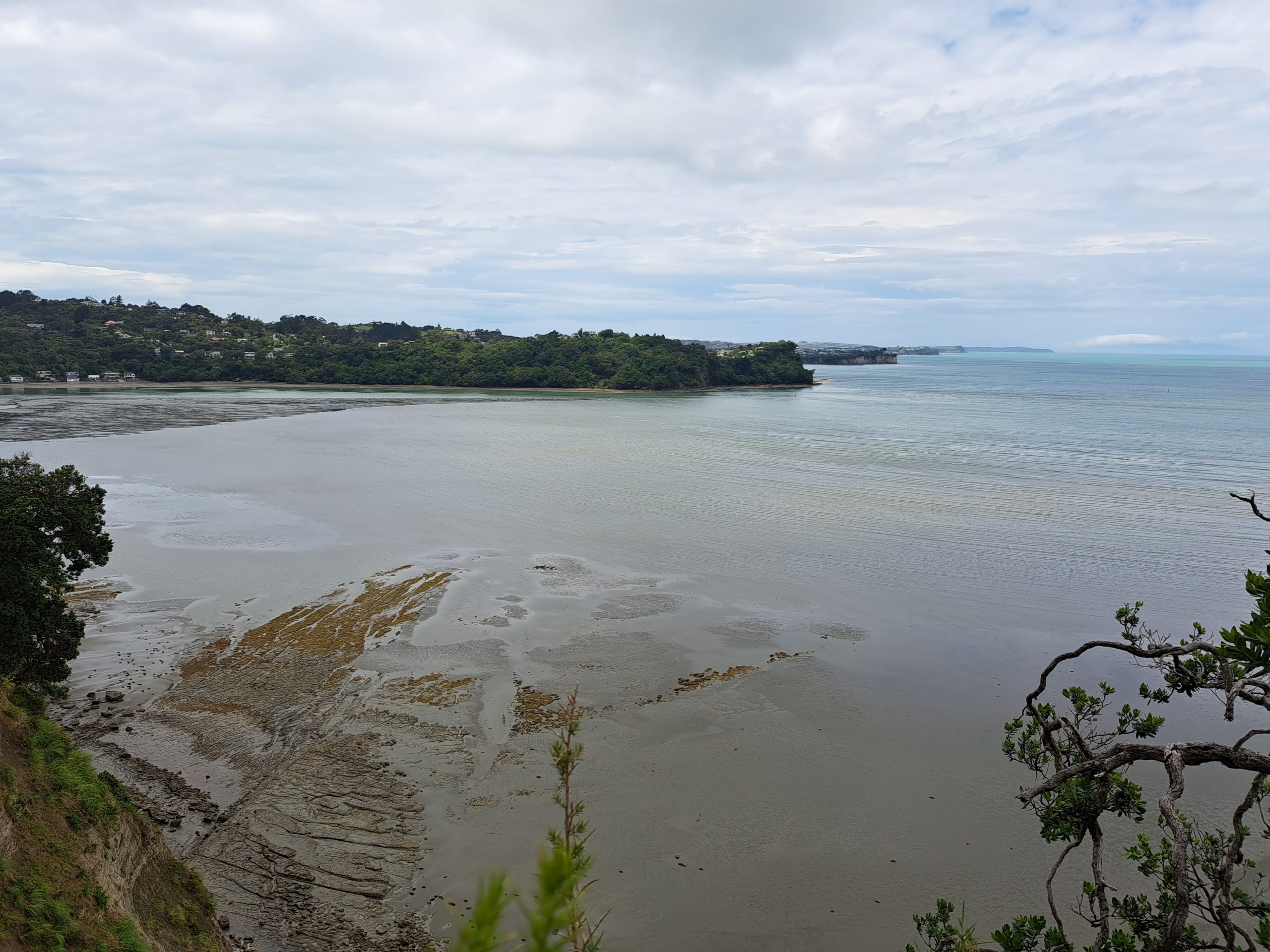 Read more about the article 10.12.22 Long Bay