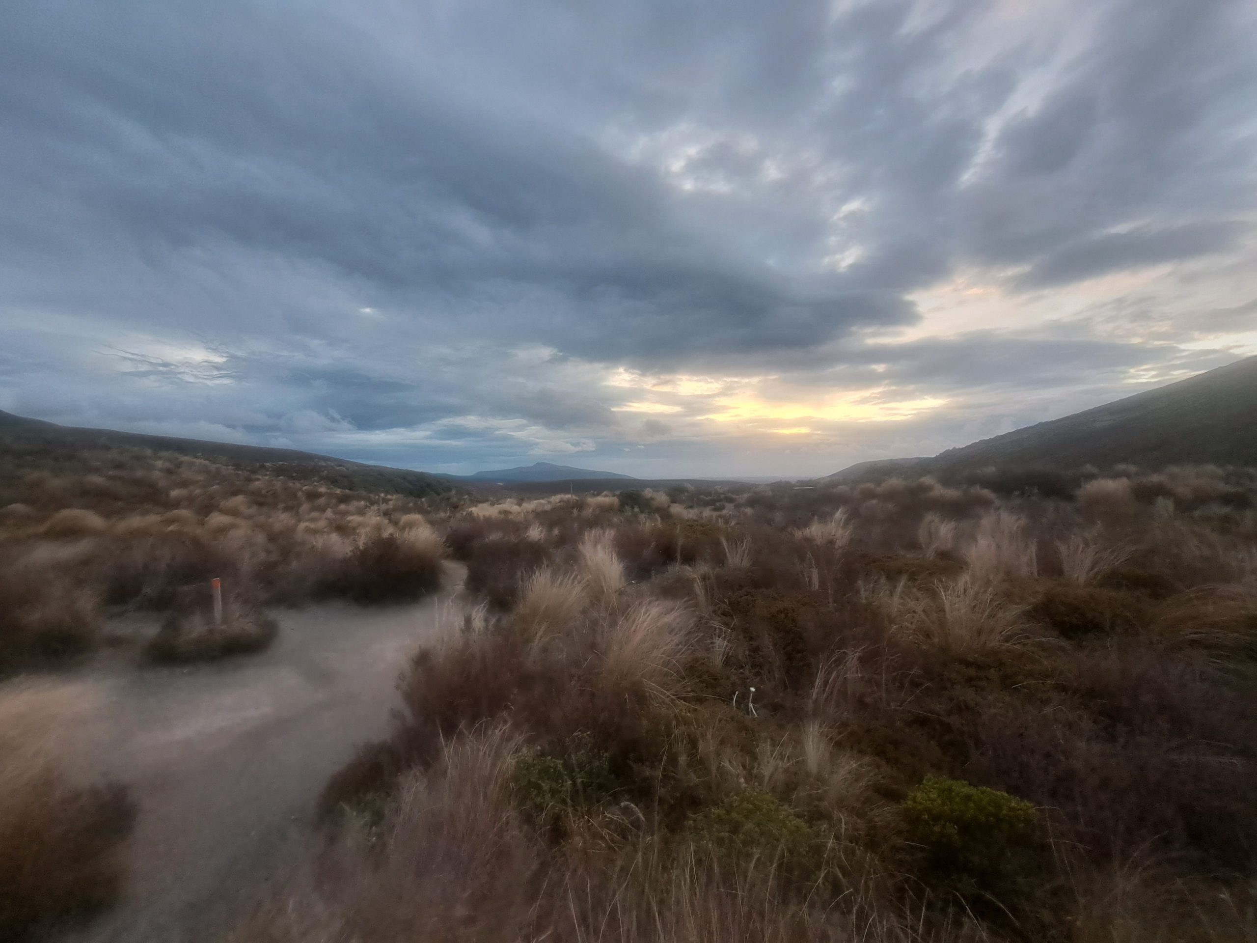 Read more about the article 04.01.23 Mangatepopo Hut