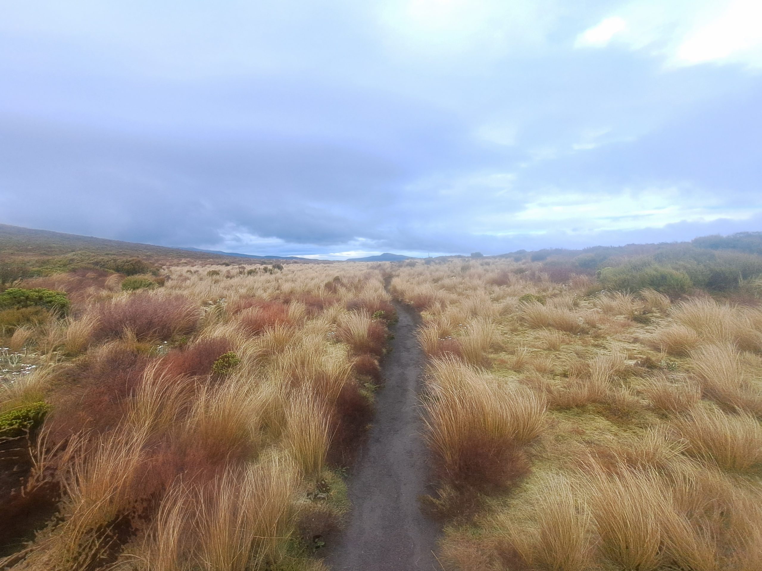 Read more about the article 05.01.23 National Park Village