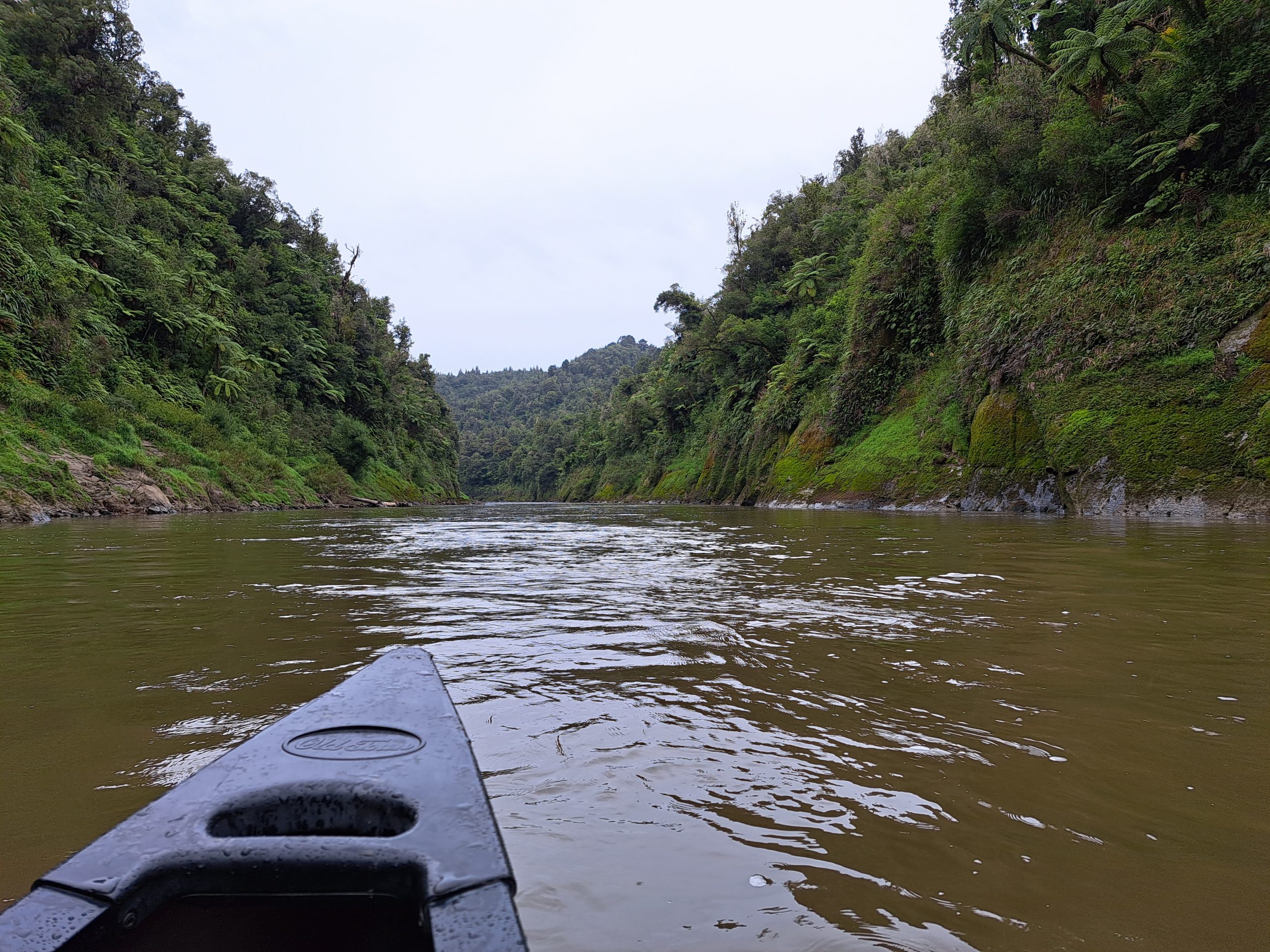 Read more about the article 09. – 12.01.23 Whanganui-River