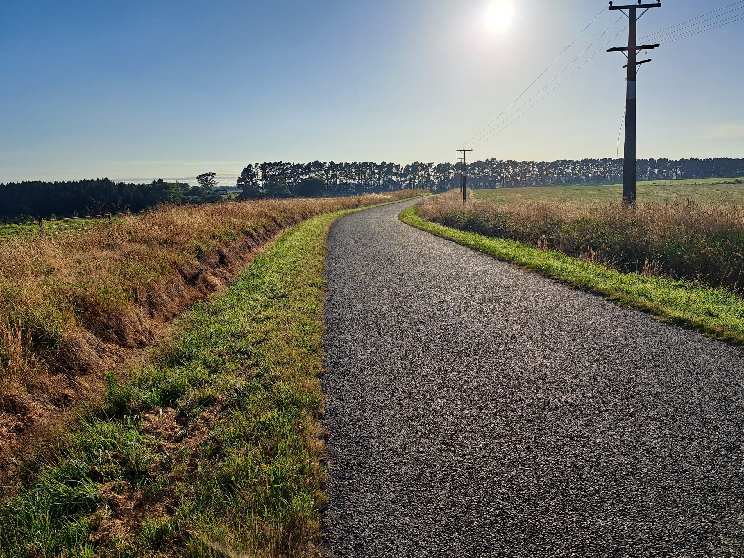 Read more about the article 17.01.23 Palmerston North
