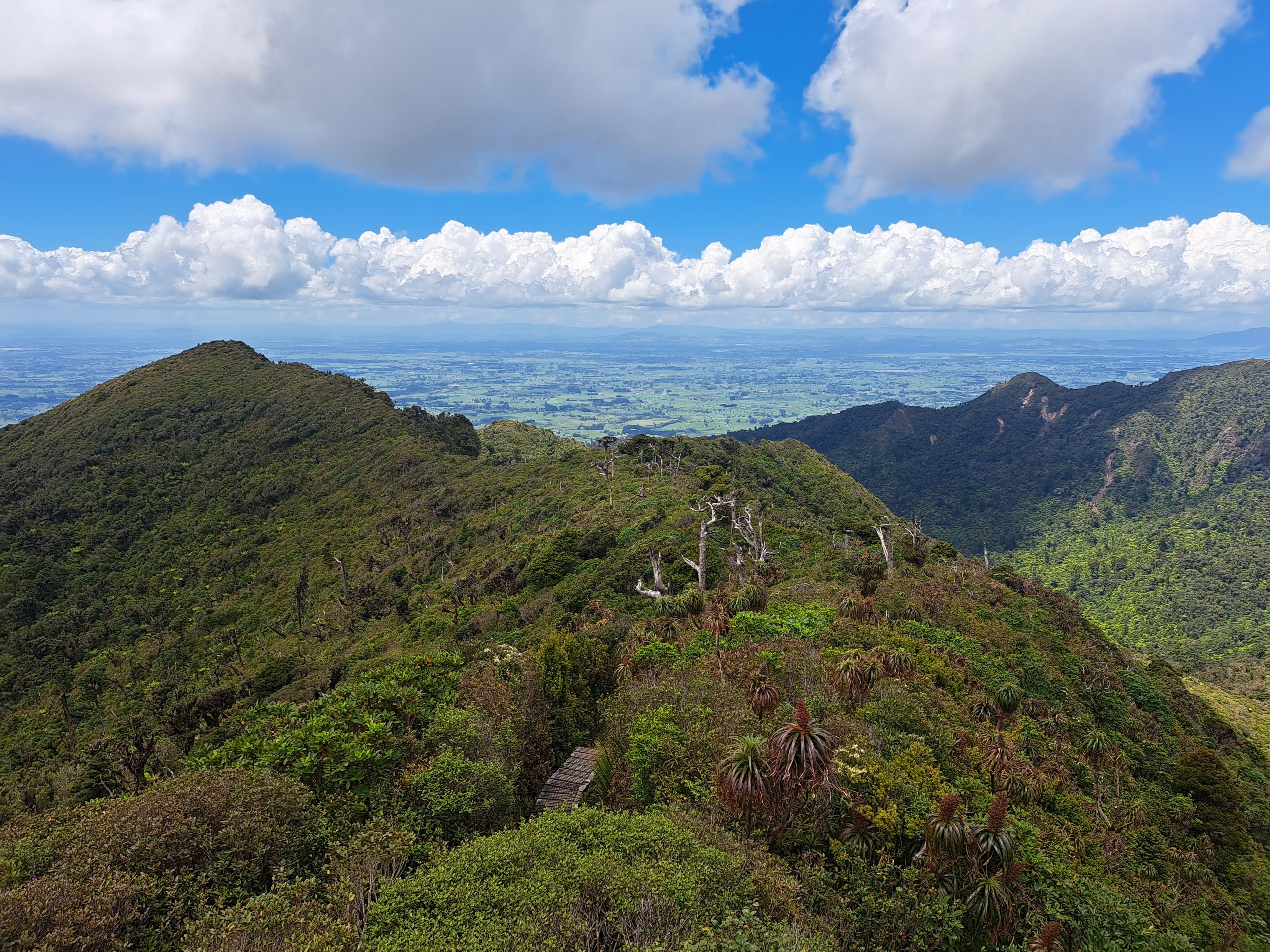 Read more about the article 23.12.22 Pahautea Hut