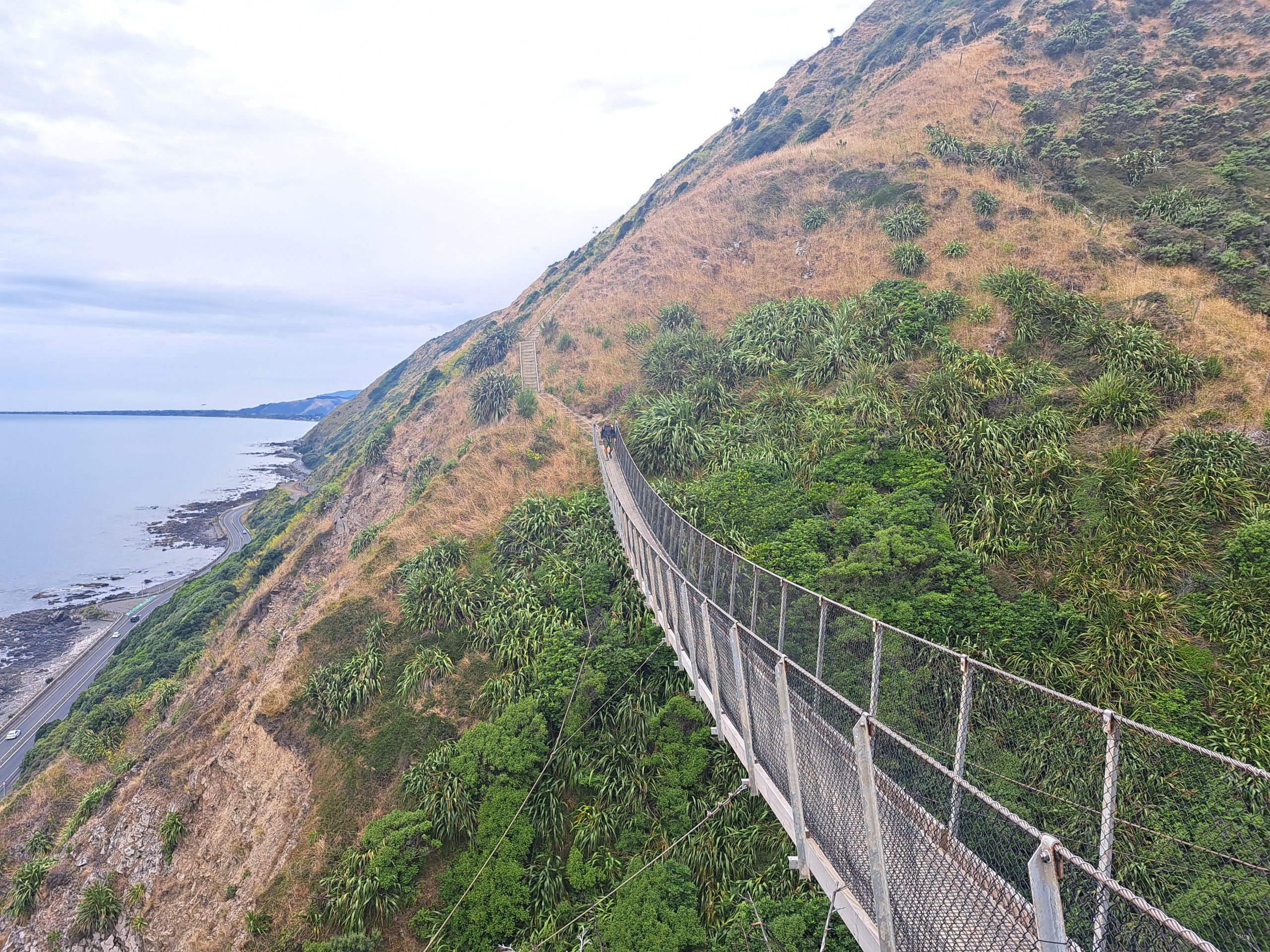 Read more about the article 27.01.23 Escarpment Track