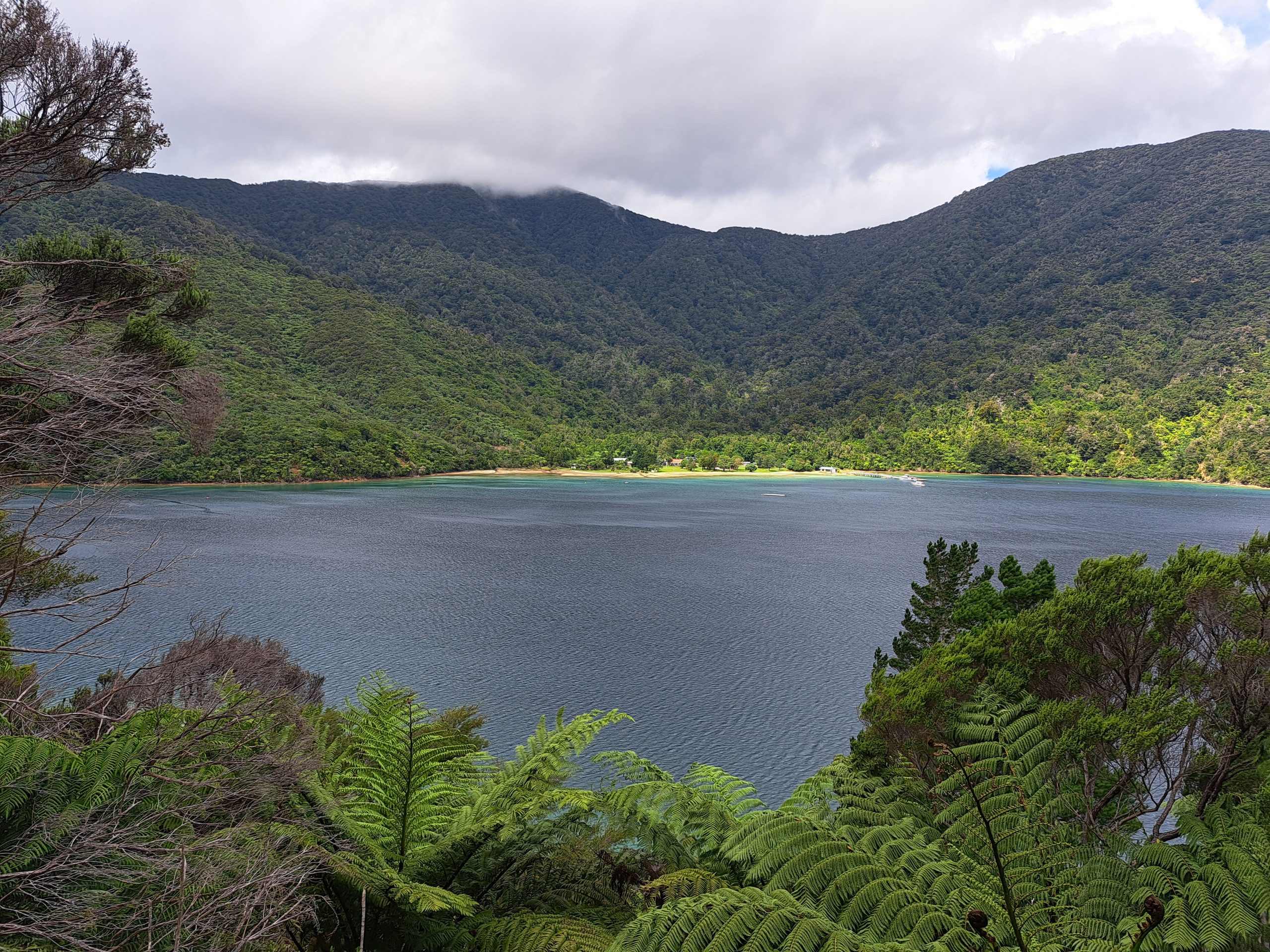 Read more about the article 02.02.23 Punga Cove