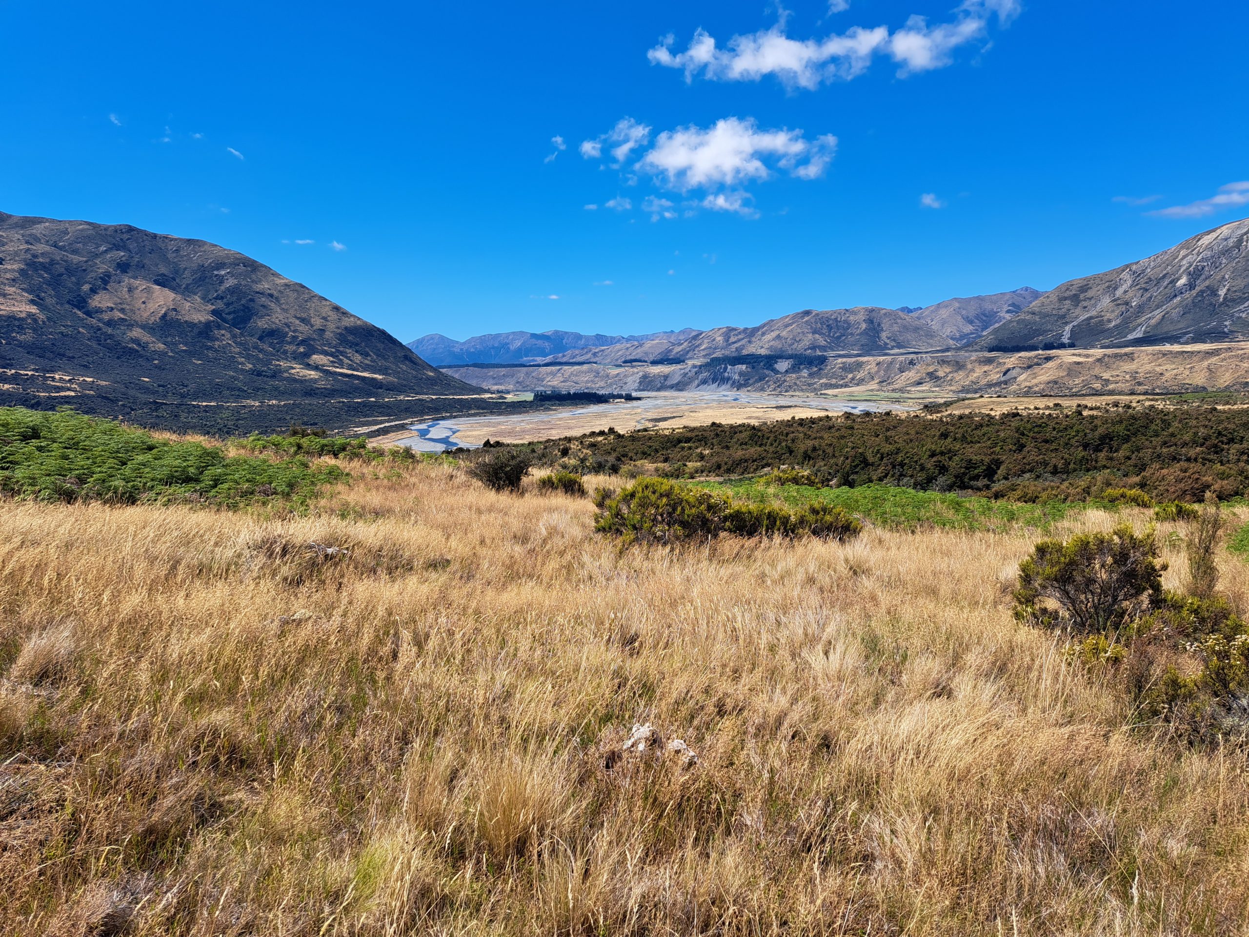 Read more about the article 21.02.23 Hope Kiwi Lodge