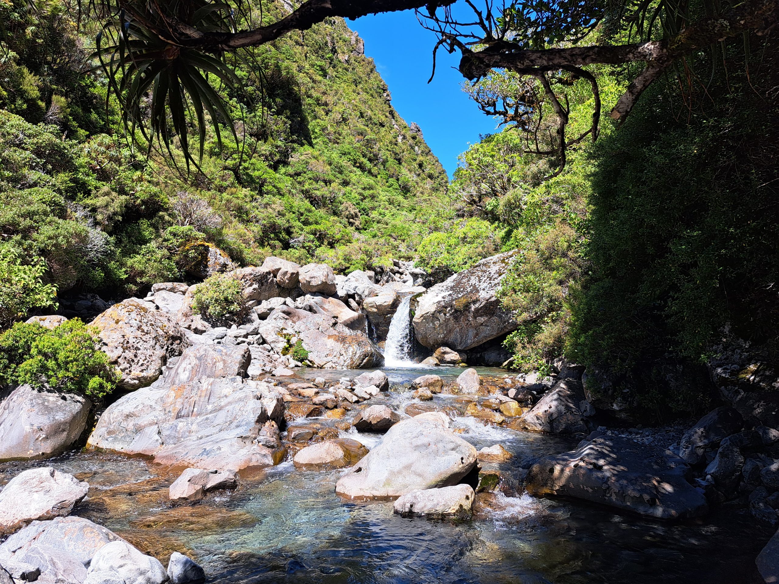 Read more about the article 25.02.23 Arthurs Pass