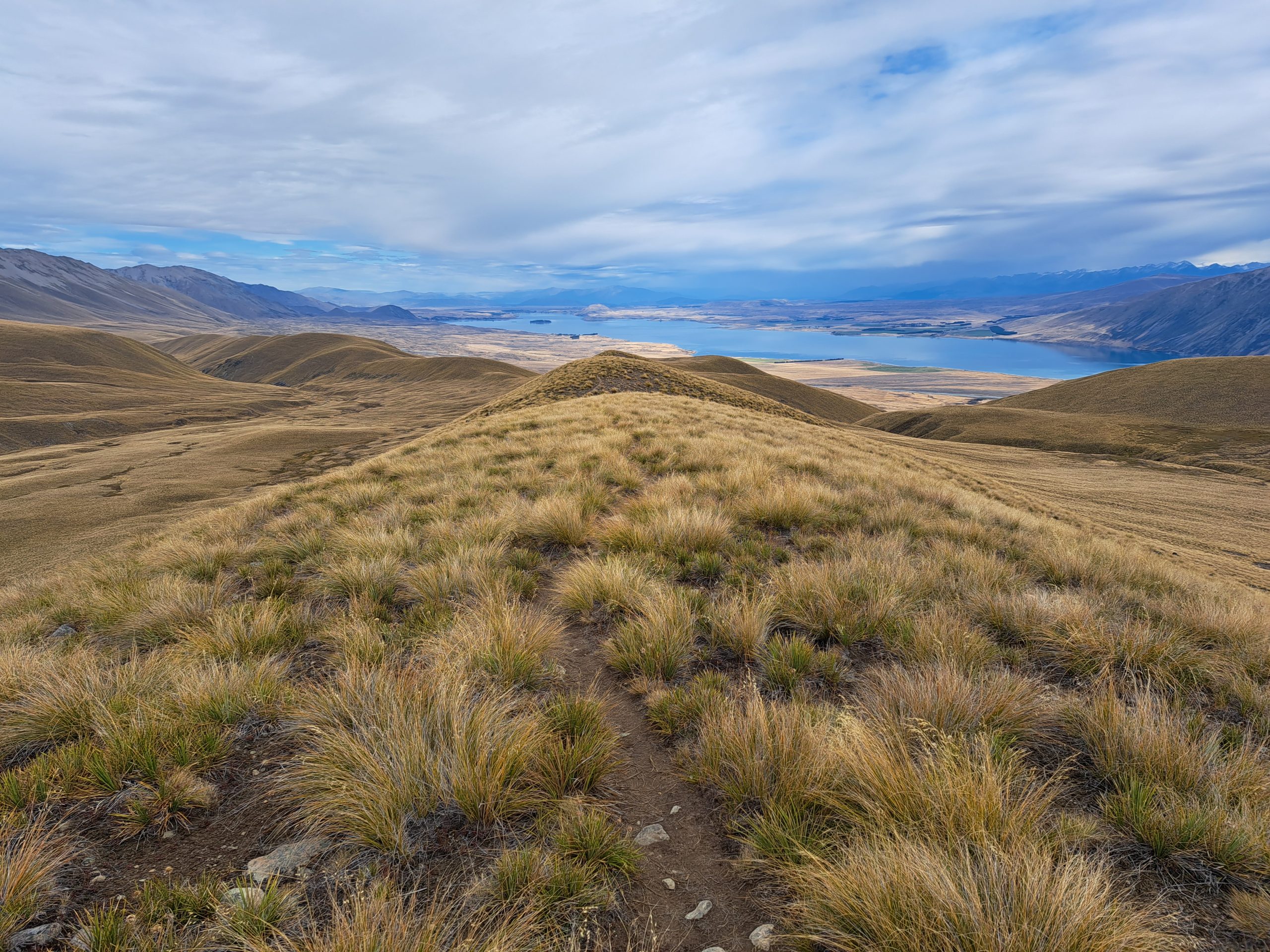 Read more about the article 07.03.23 Camp Stream Hut