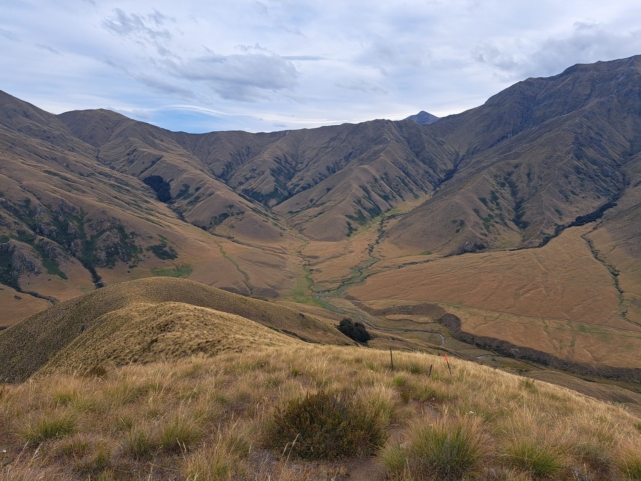 Read more about the article 19.03.23 Roses Hut