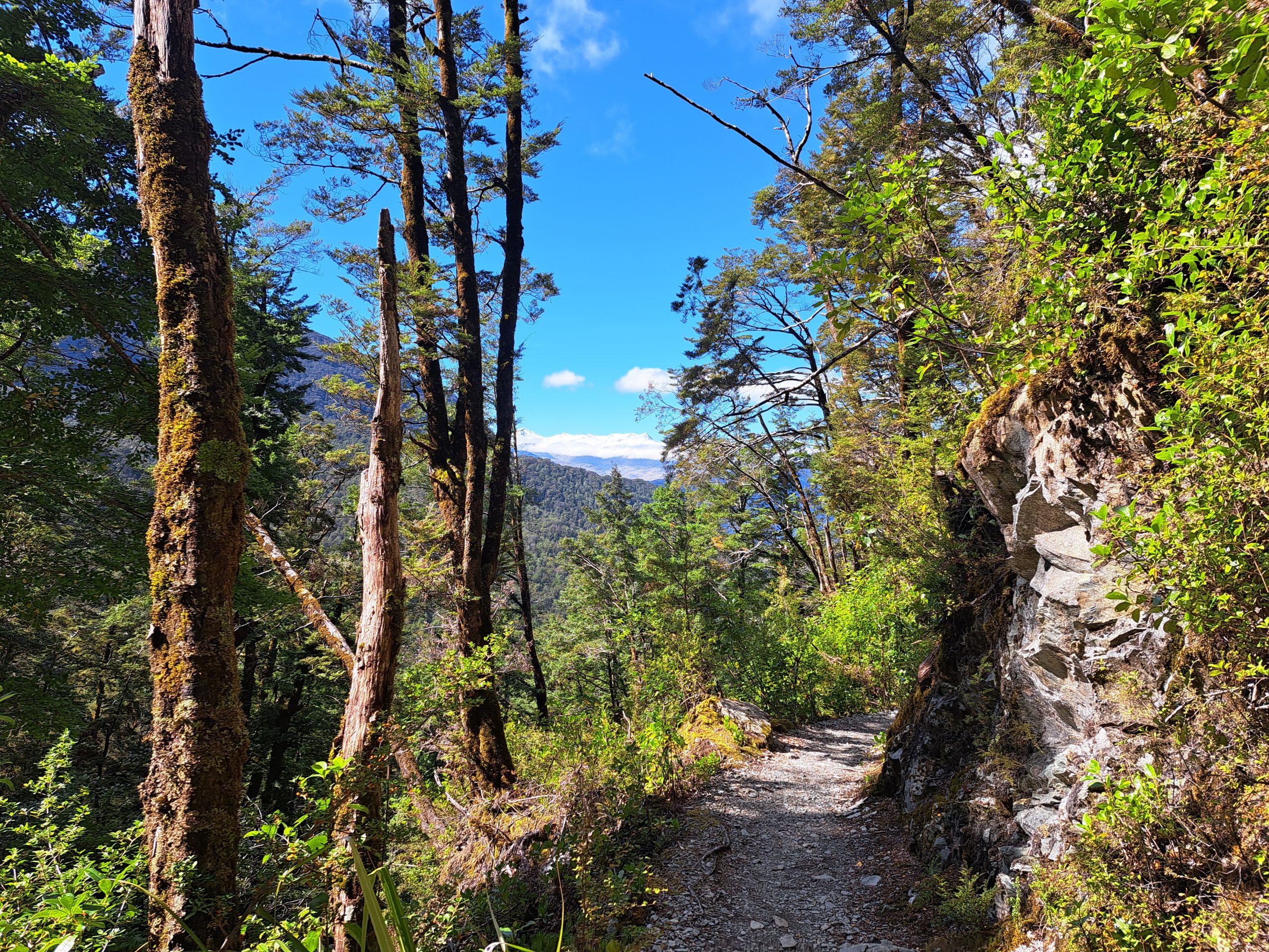 Read more about the article 22.03.23 Routeburn Falls Hut