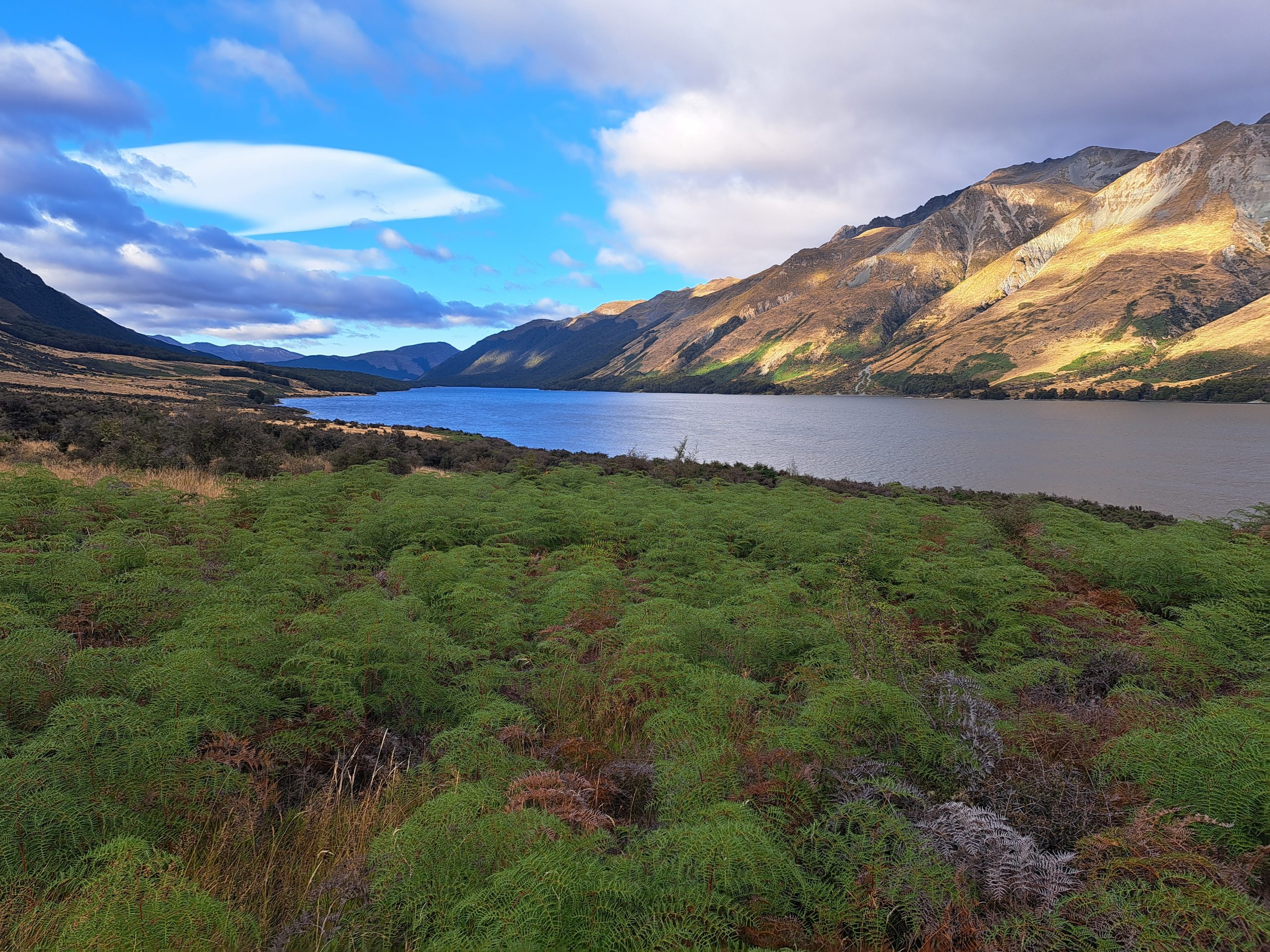 Read more about the article 27.03.23 Kiwi Burn Hut