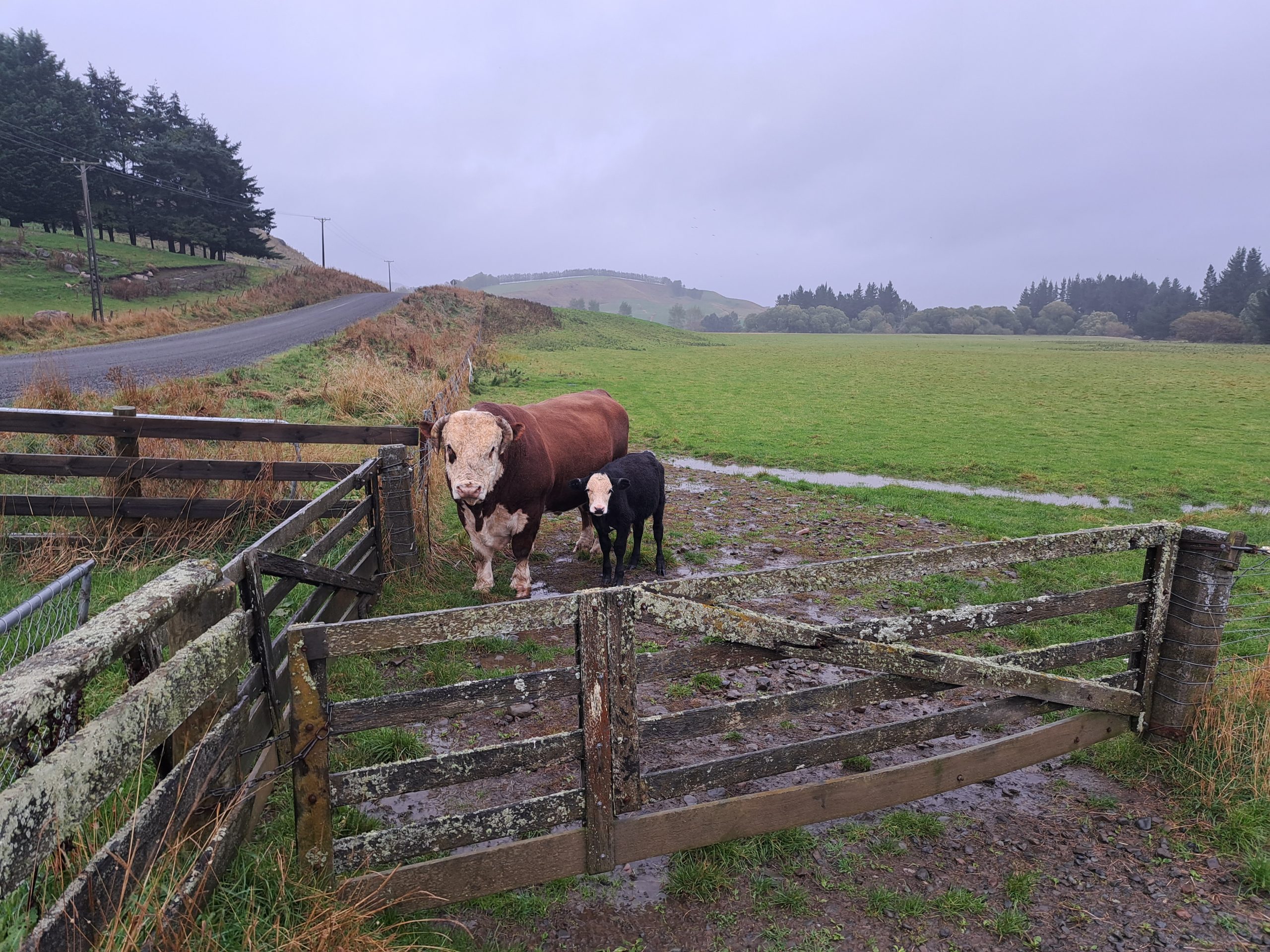 Read more about the article 02.04.23 Merriview Hut