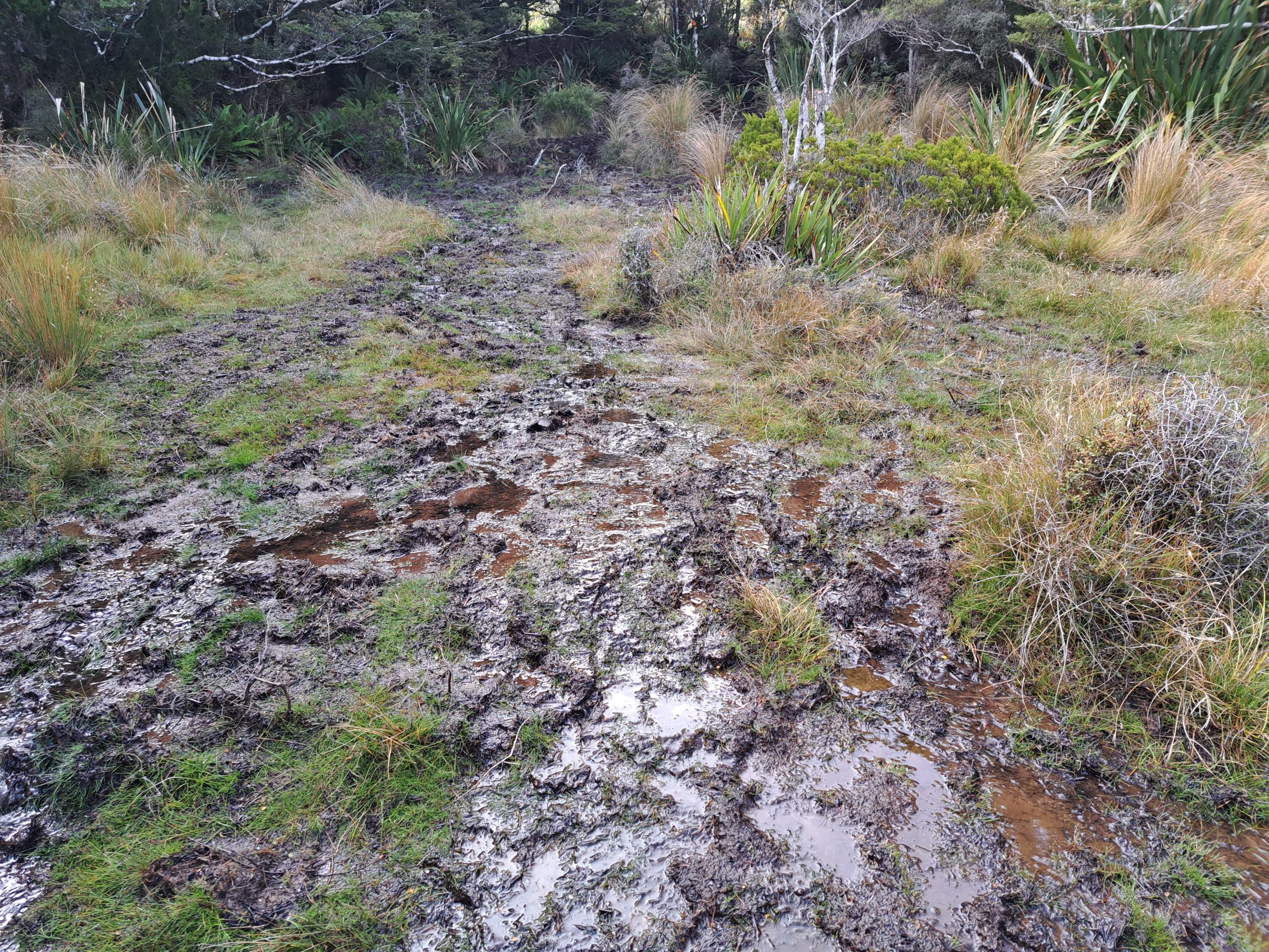 Read more about the article 03.04.23 Martins Hut